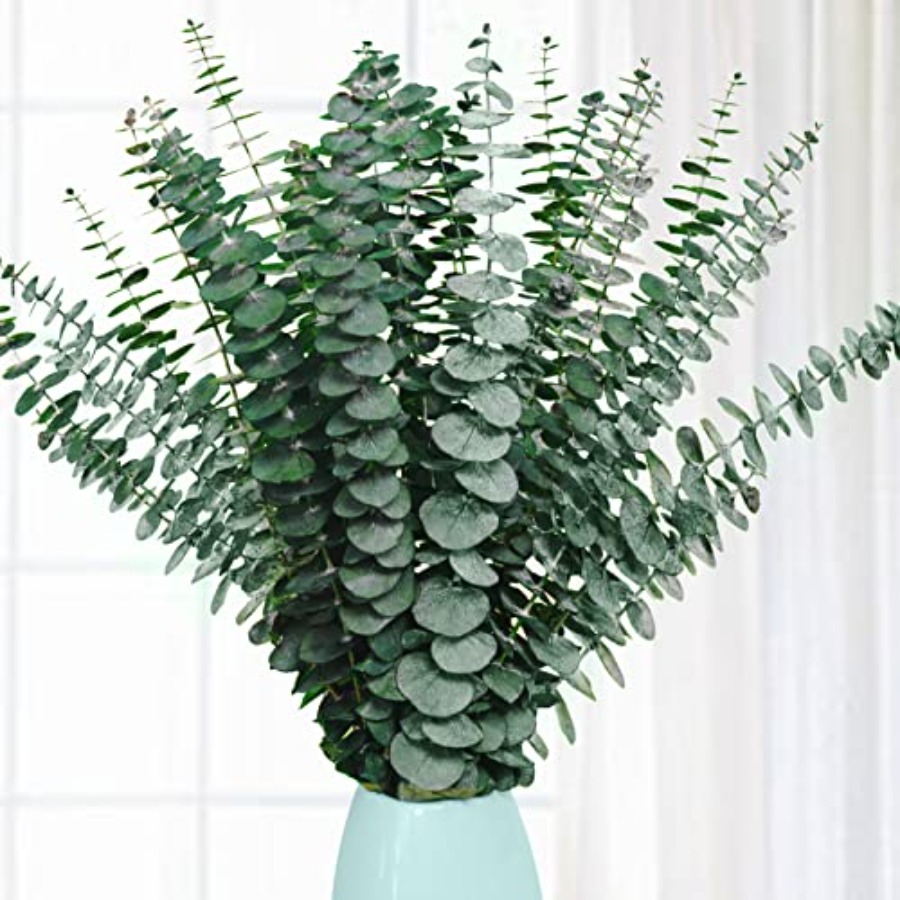 Eucalyptus Preserved - 20 Adet Korunmuş Kurutulmuş Okaliptüs Sapları,