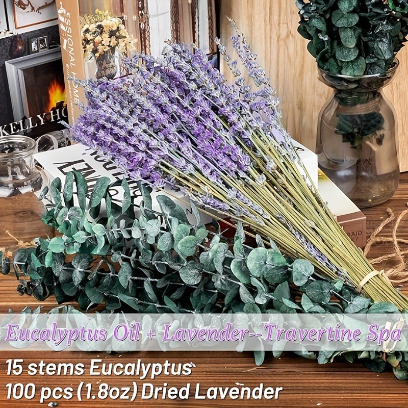 Eucalyptus Preserved - Kurutulmuş Lavanta ve Okaliptüs Buketi -