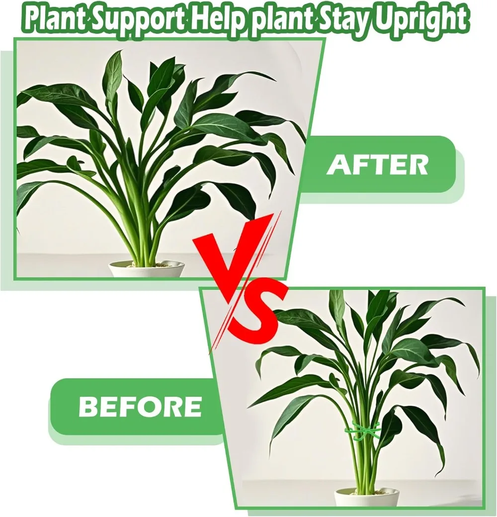 Çiçek Bitki Kök Destek Kazıkla - Supply For Florist incelemesi ve fiyatı