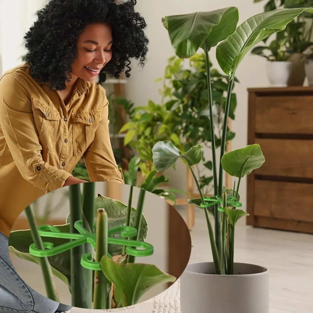 Çiçek Bitki Kök Destek Kazıkla - Supply For Florist incelemesi ve fiyatı