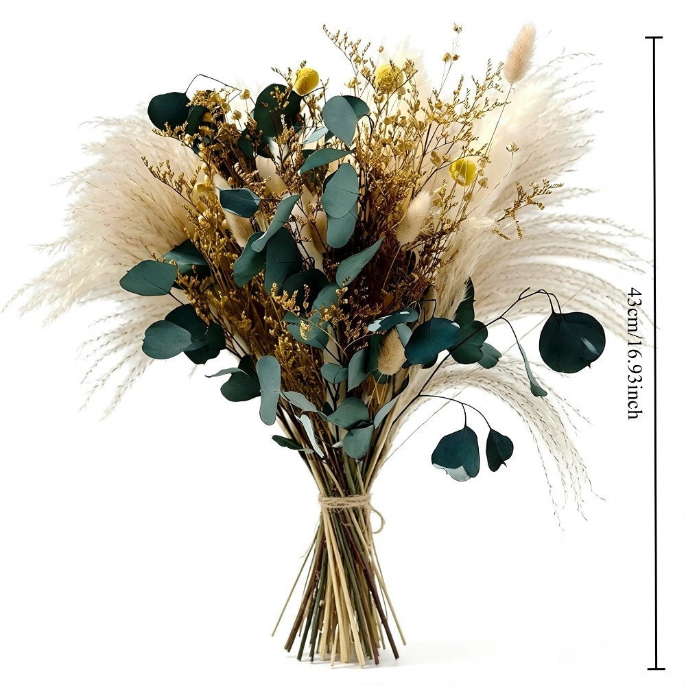 Doğal Kurutulmuş Pampas Çimi B - Eucalyptus Preserved incelemesi ve fiyatı