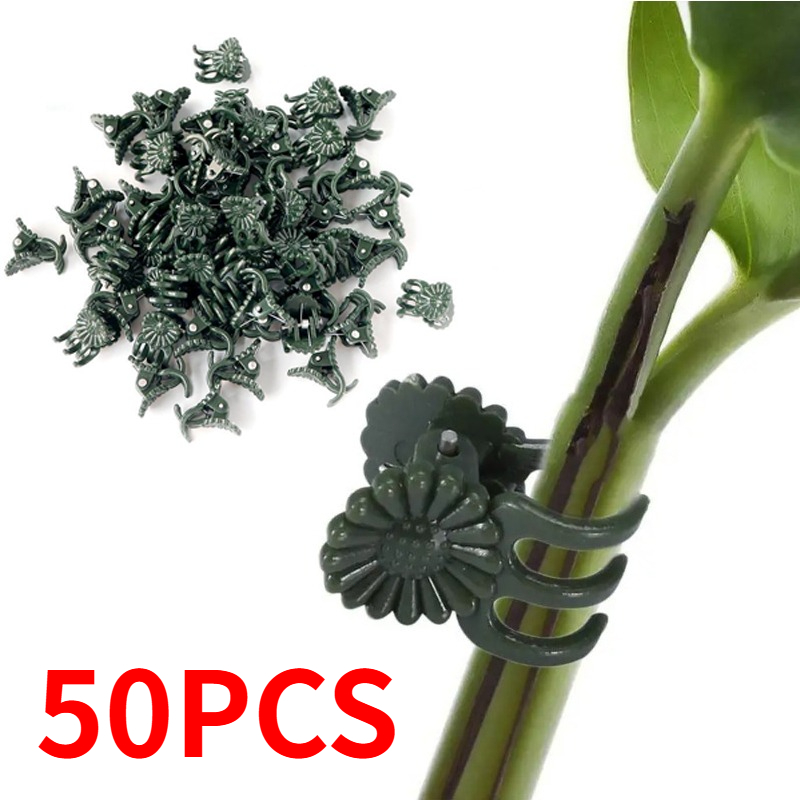 50 Adet 5 Tırnaklı Koyu Yeşil  - Supply For Florist incelemesi ve fiyatı