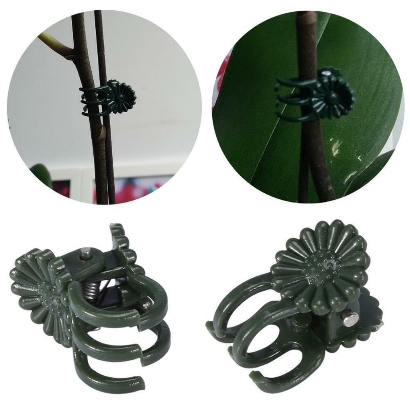 50 Adet 5 Tırnaklı Koyu Yeşil  - Supply For Florist incelemesi ve fiyatı