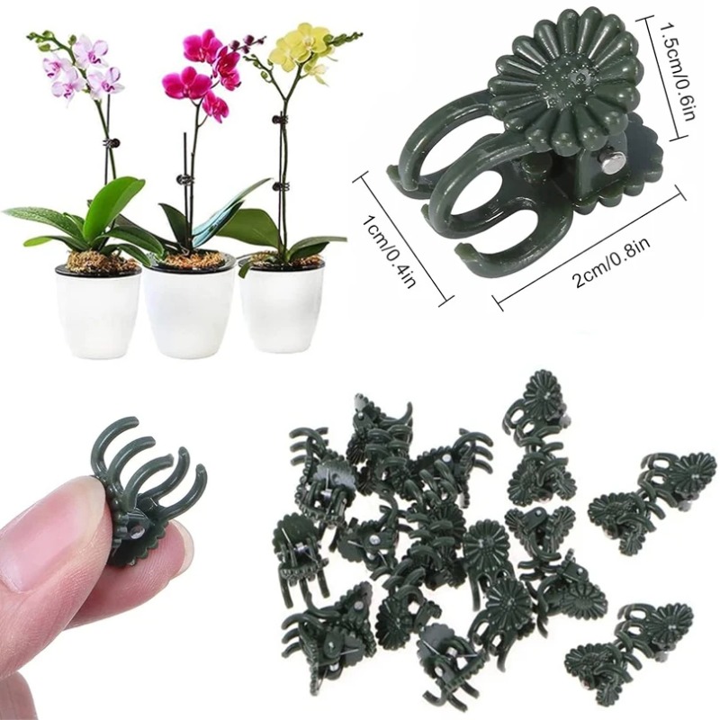 50 Adet 5 Tırnaklı Koyu Yeşil  - Supply For Florist incelemesi ve fiyatı
