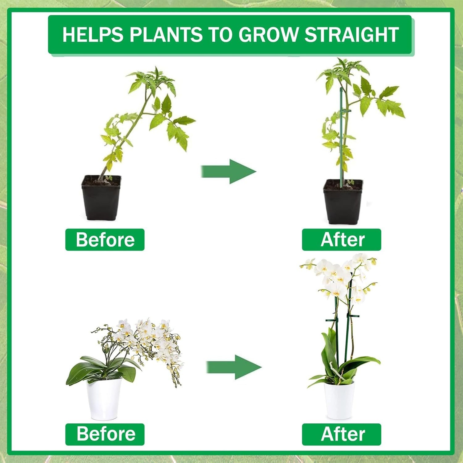 Bitki Destek Çubukları Tek Sap - Supply For Florist incelemesi ve fiyatı
