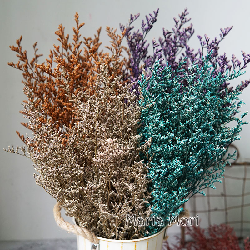 70g/Kurutulmuş Sevgililer Günü - Eucalyptus Preserved incelemesi ve fiyatı