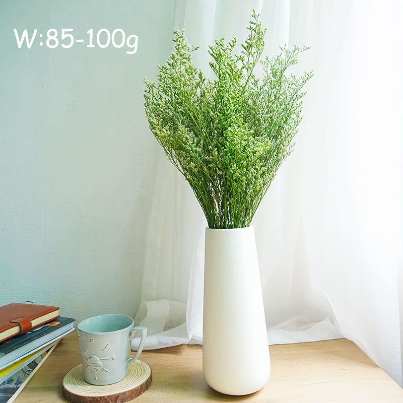 70g/Kurutulmuş Sevgililer Günü - Eucalyptus Preserved incelemesi ve fiyatı