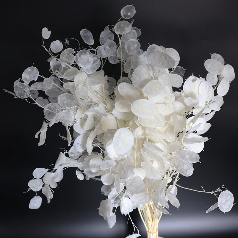 Düğün Düzenlemesi için Korunmu - Eucalyptus Preserved incelemesi ve fiyatı