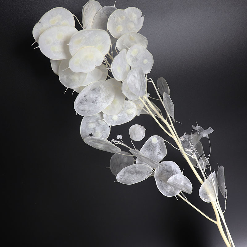 Düğün Düzenlemesi için Korunmu - Eucalyptus Preserved incelemesi ve fiyatı