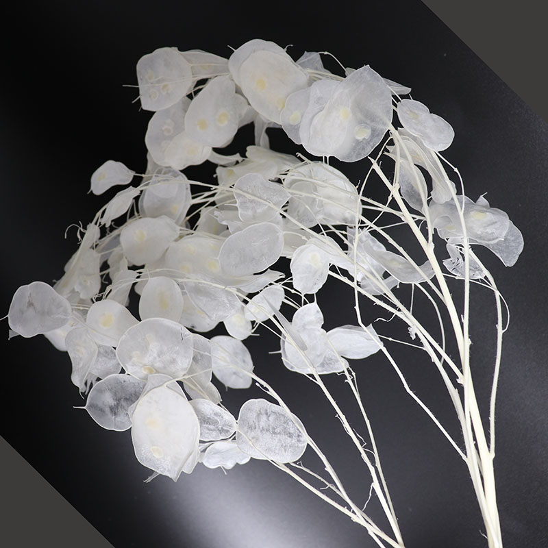 Düğün Düzenlemesi için Korunmu - Eucalyptus Preserved incelemesi ve fiyatı