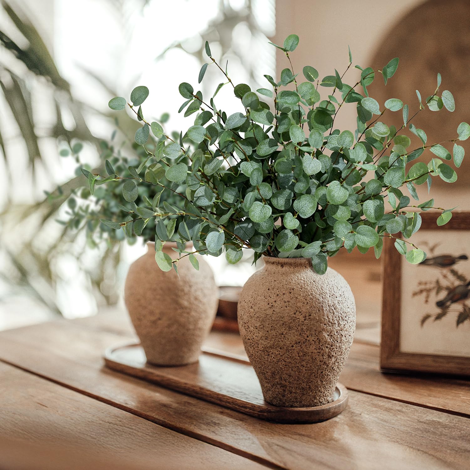 Sahte Okaliptüs Sapları Yapay  - Eucalyptus Preserved incelemesi ve fiyatı