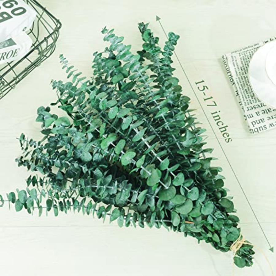 20 Adet Korunmuş Kurutulmuş Ok - Eucalyptus Preserved incelemesi ve fiyatı