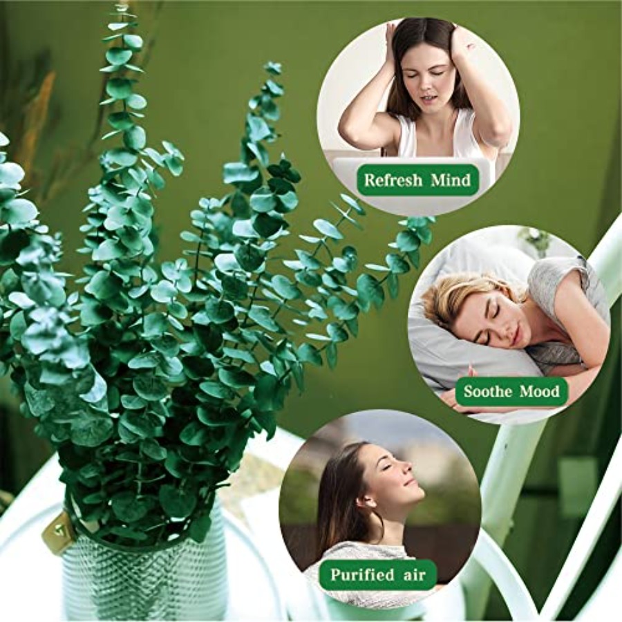 20 Adet Korunmuş Kurutulmuş Ok - Eucalyptus Preserved incelemesi ve fiyatı