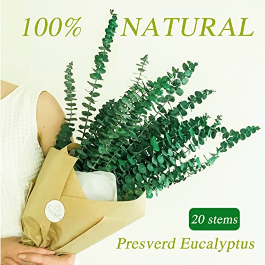 20 Adet Korunmuş Kurutulmuş Ok - Eucalyptus Preserved incelemesi ve fiyatı