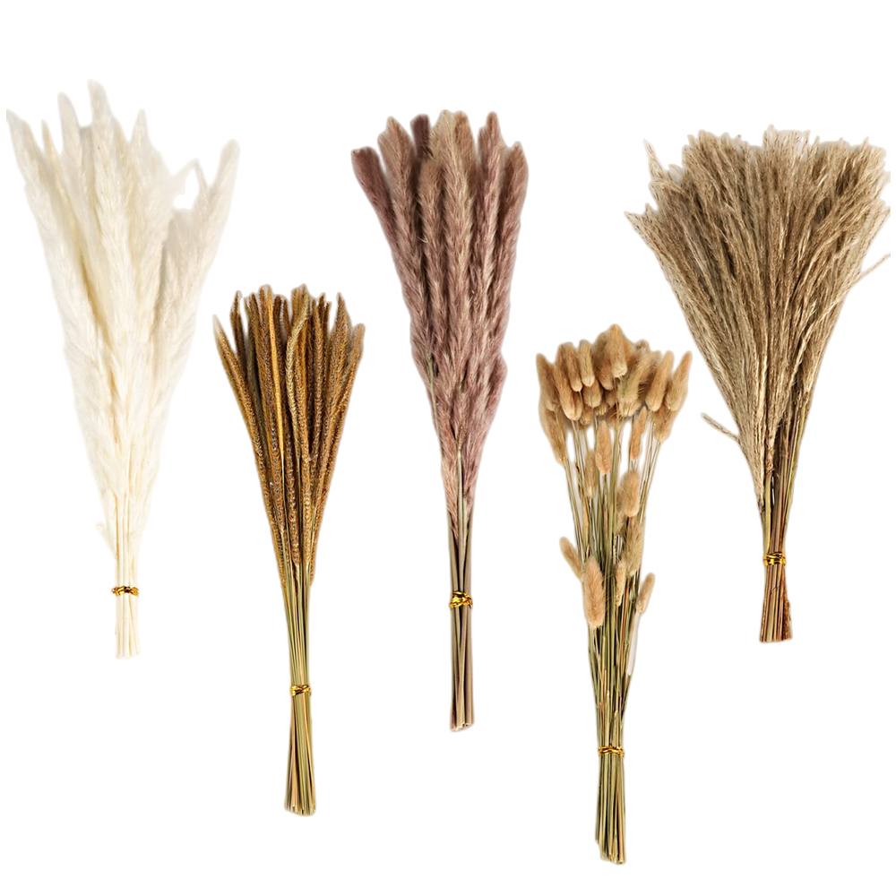 Sonbahar Vintage Karışık Kurut - Eucalyptus Preserved incelemesi ve fiyatı