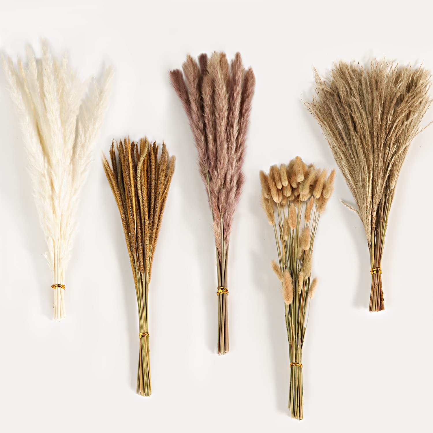 Sonbahar Vintage Karışık Kurut - Eucalyptus Preserved incelemesi ve fiyatı