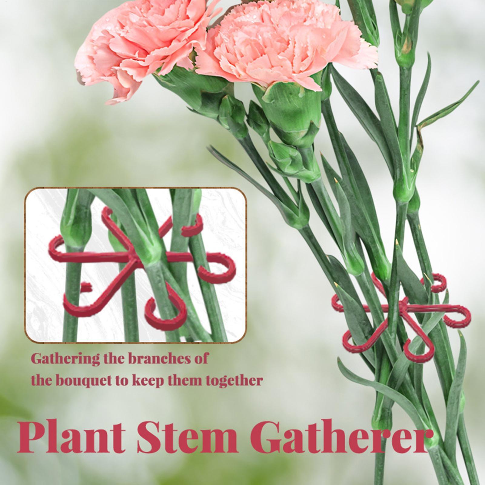 4 adet Bitki Sabitleme Klipsi  - Supply For Florist incelemesi ve fiyatı