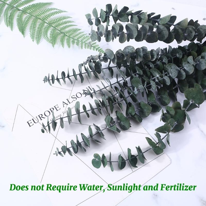 20 Adet Taze Okaliptüs Dalları - Eucalyptus Preserved incelemesi ve fiyatı