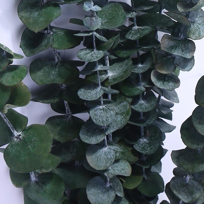 20 Adet Taze Okaliptüs Dalları - Eucalyptus Preserved incelemesi ve fiyatı