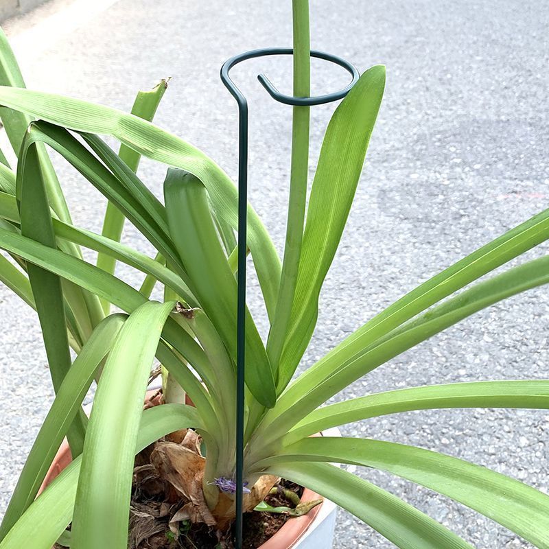 1-10 adet Metal Tek Kök Bitki  - Supply For Florist incelemesi ve fiyatı