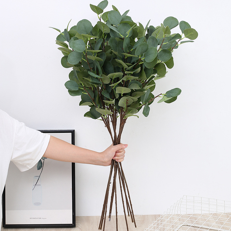1 adet Yapay Okaliptüs Elma Ya - Eucalyptus Preserved incelemesi ve fiyatı