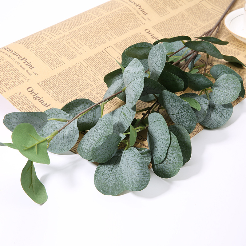 1 adet Yapay Okaliptüs Elma Ya - Eucalyptus Preserved incelemesi ve fiyatı